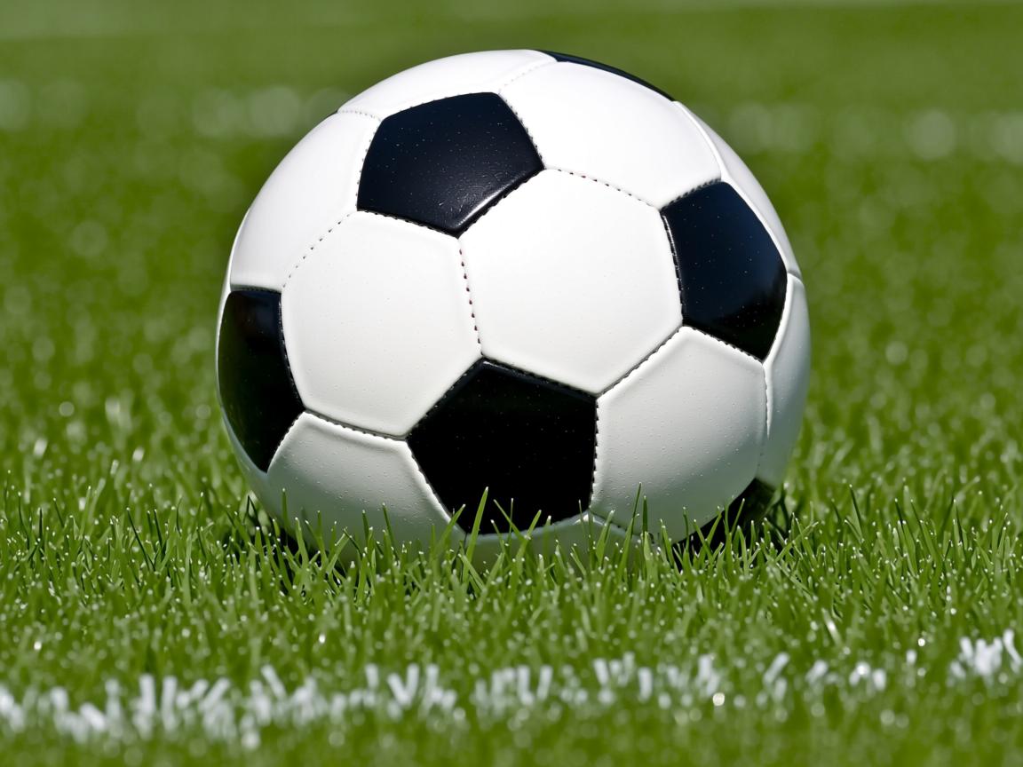 九游娱乐入口-中国三人篮球女队赛场拼搏表现出色，中国三人篮球女队赛场拼搏表现出色的是谁