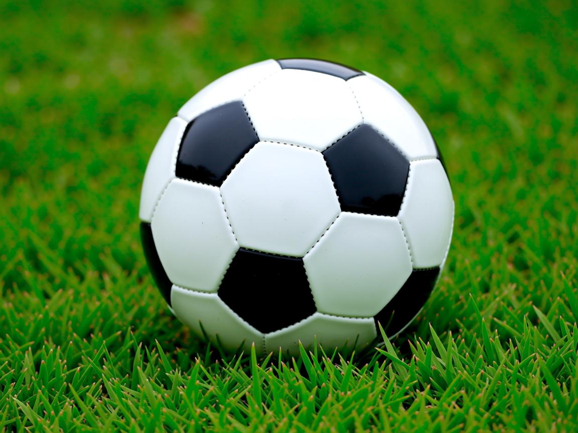 九游娱乐app官网-体操世界冠军走进校园普及运动知识,体操队世界冠军榜 第1张